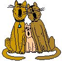 NYperson